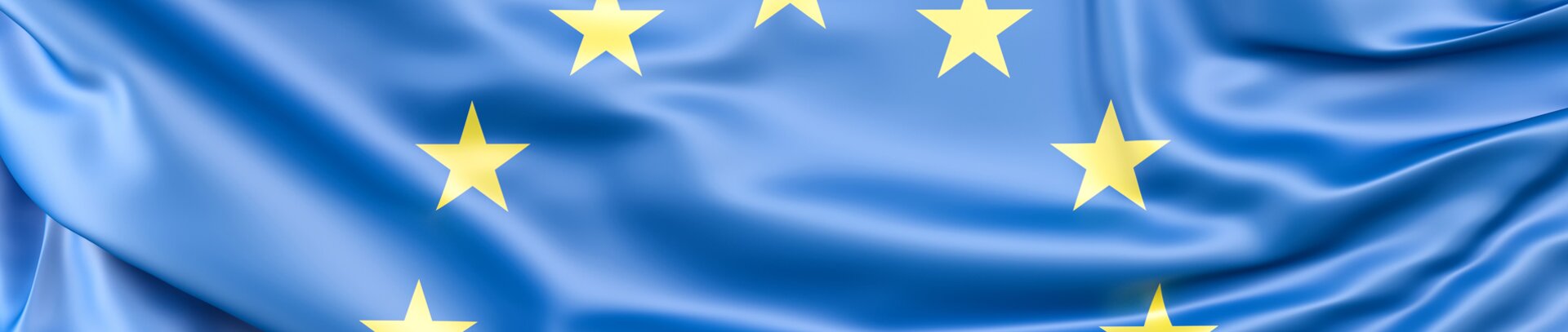 Subsidies and projects